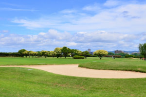ゴルフ場